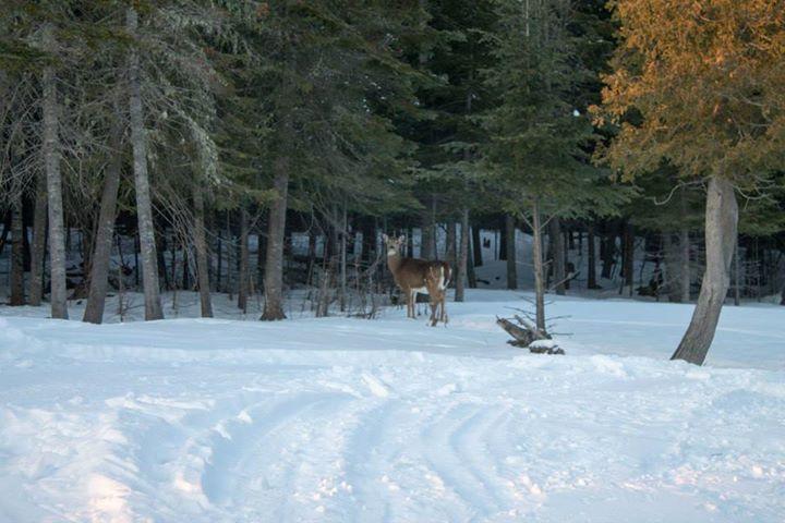 Auberge sur le lac Témiscouata Temiscouata Sur Le Lac Exterior foto